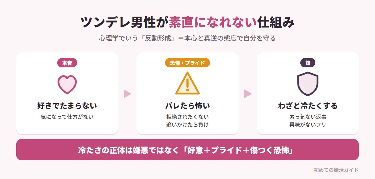 ツンデレ男性が素直になれない心の仕組み(記事の内容)。本音:好きでたまらない。恐怖とプライド:好意がバレたらどうしよう、拒絶されたら立ち直れない、自分から追いかけるのは負け。鎧:わざと冷たくする、興味のないフリをする。心理学ではこれを「反動形成」と呼び、本当の気持ちが表に出るのを恐れて真逆の態度をとる防衛本能のこと。冷たい態度の正体は嫌悪ではなく、好意とプライドと傷つく恐怖が混ざり合った状態