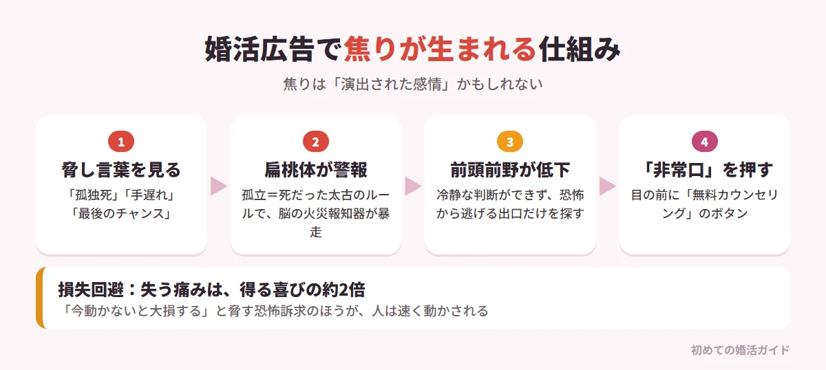 婚活広告で焦りが生まれる仕組み(記事の内容)。1 脅し言葉を見る:「孤独死」「手遅れ」「最後のチャンス」。2 扁桃体が警報を鳴らす:群れから孤立=死だった太古のルールで、脳の火災報知器が過剰に反応する。3 前頭前野の働きが落ちる:冷静で論理的な判断ができず、恐怖から逃げる出口だけを探す。4 目の前の「非常口」を押してしまう:入会金〇〇万円の無料カウンセリングボタン。さらに人は得る喜びより失う痛みを約2倍強く感じる(損失回避)ため、「今動かないと大損」という恐怖訴求に動かされやすい。焦りは自分の内側から湧いたものではなく、外から意図的に突かれた人工的な感情かもしれない
